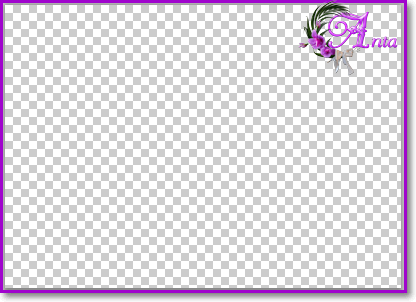 Image 3.png