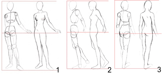 Как нарисовать тело девушки в полный рост поэтапно
